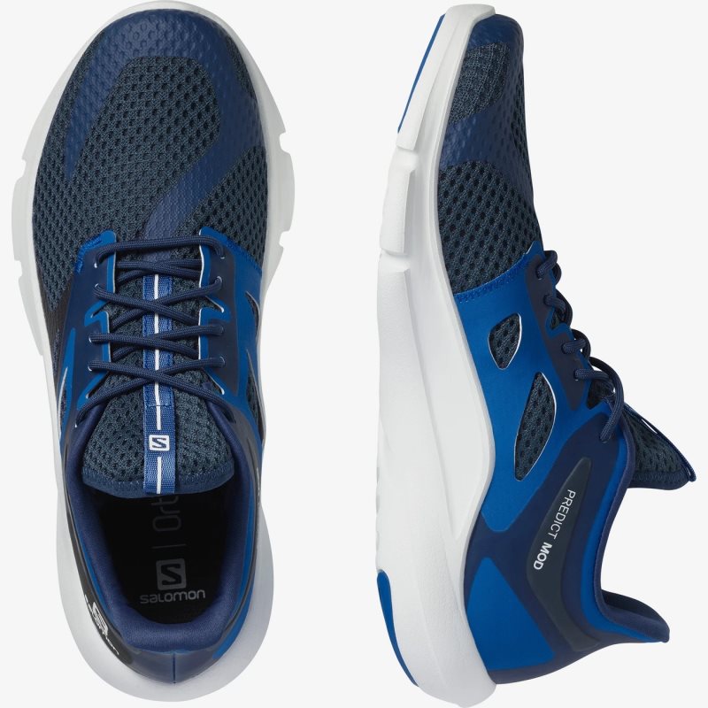 Chaussure Running Salomon PREDICT MOD Bleu Homme | YEA-1029050