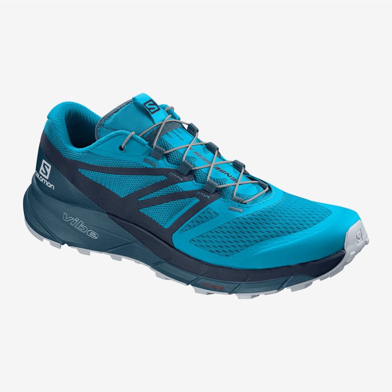 Chaussure Running Salomon SENSE RIDE 2 Bleu Homme | OBR-8533751