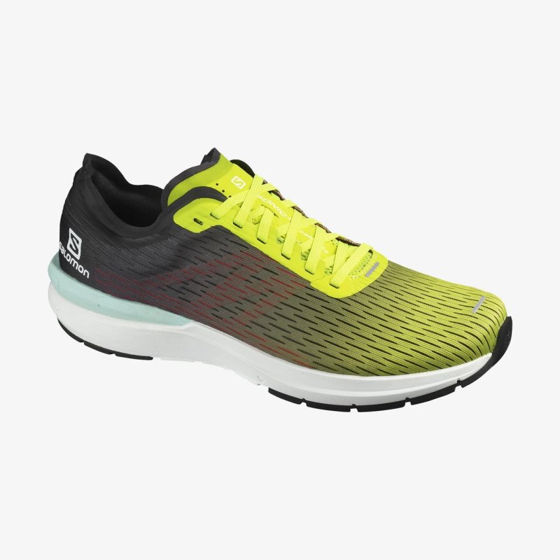 Chaussure Running Salomon SONIC 3 Accelerate Jaune/Noir Homme | FFF-2579187