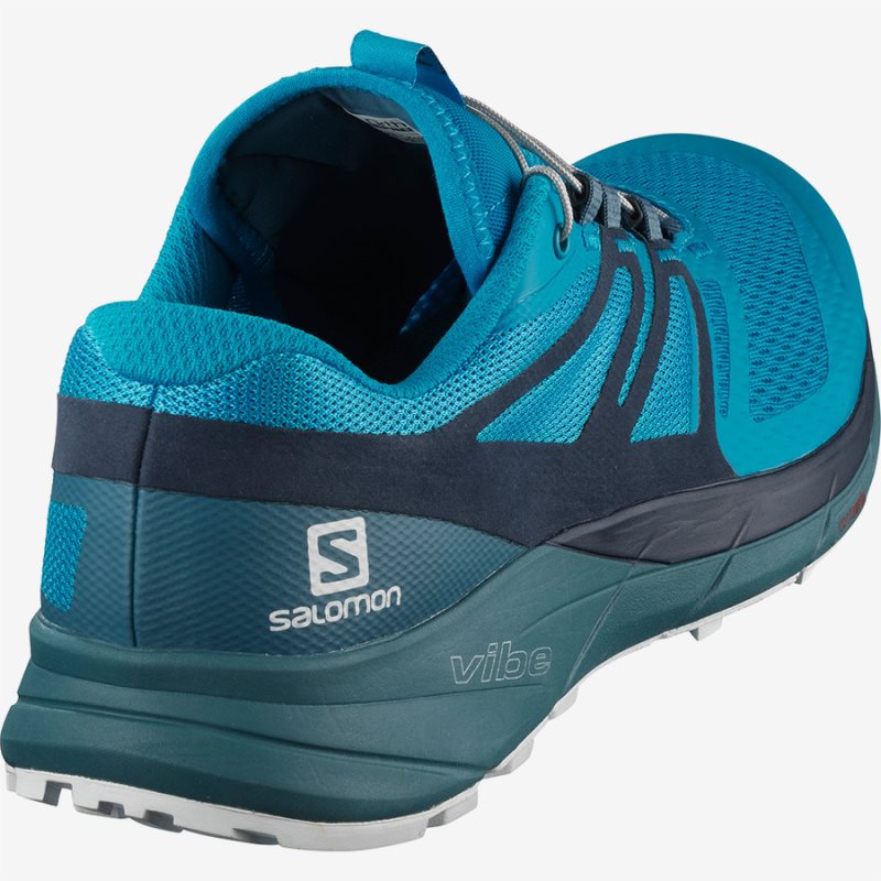 Chaussure Running Salomon SENSE RIDE 2 Bleu Homme | OBR-8533751