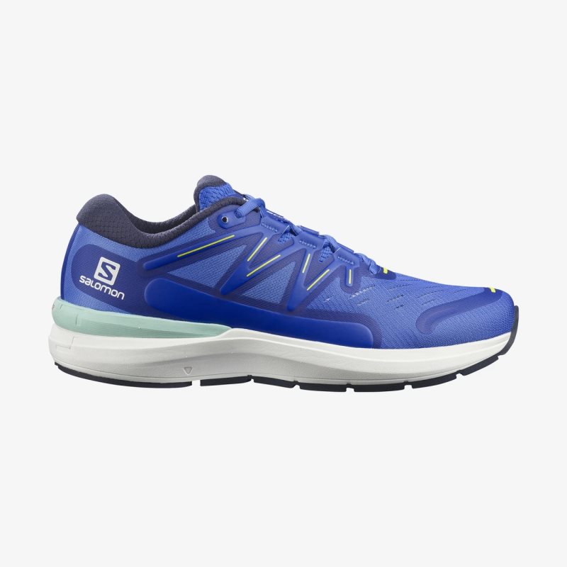 Chaussure Running Salomon SONIC 4 Confidence Bleu Homme | LDN-5697642