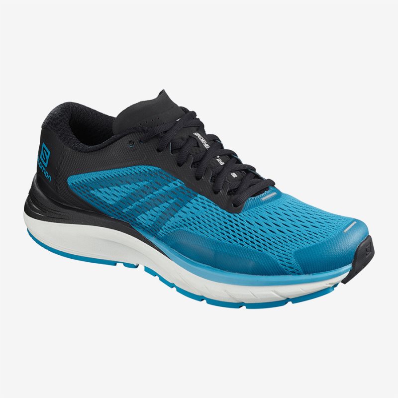 Chaussure Running Salomon SONIC RA MAX 2 Bleu Homme | WUU-6630979