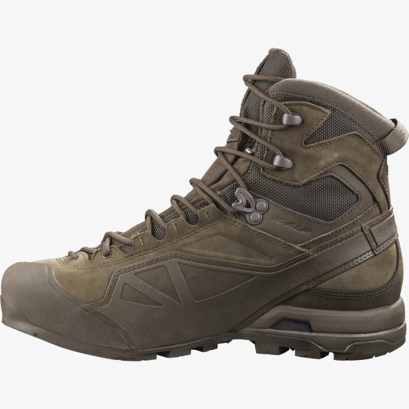 Chaussure Hiver Salomon X ALP GORE-TEX FORCES Chocolat Homme | HRI-9975849