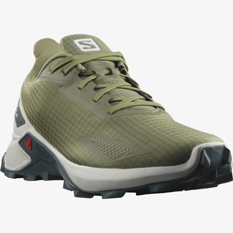 Chaussure Trail Salomon ALPHACROSS BLAST Vert Homme | JHQ-1848098