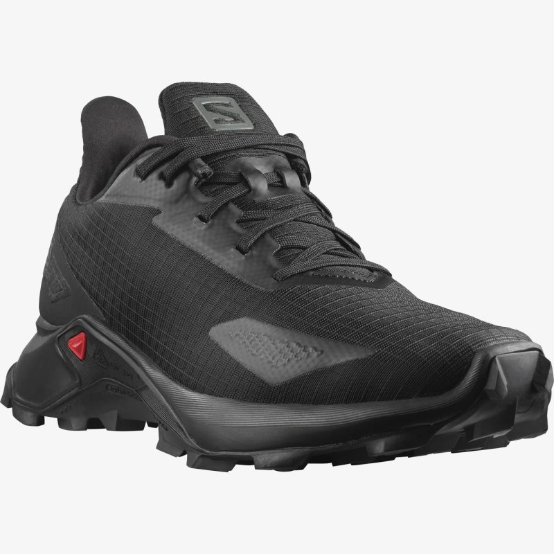 Chaussure Trail Salomon ALPHACROSS BLAST Noir Homme | NOE-7752550