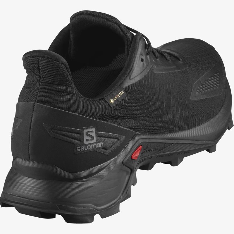 Chaussure Trail Salomon ALPHACROSS BLAST GTX Noir Homme | MNL-1490635