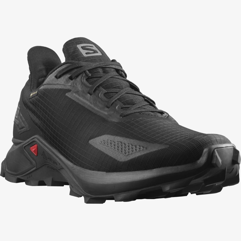 Chaussure Trail Salomon ALPHACROSS BLAST GTX Noir Homme | MNL-1490635