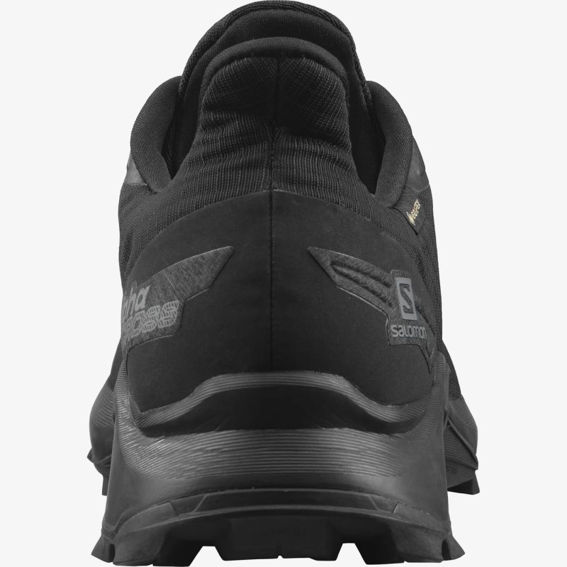 Chaussure Trail Salomon ALPHACROSS BLAST GTX Noir Homme | MNL-1490635