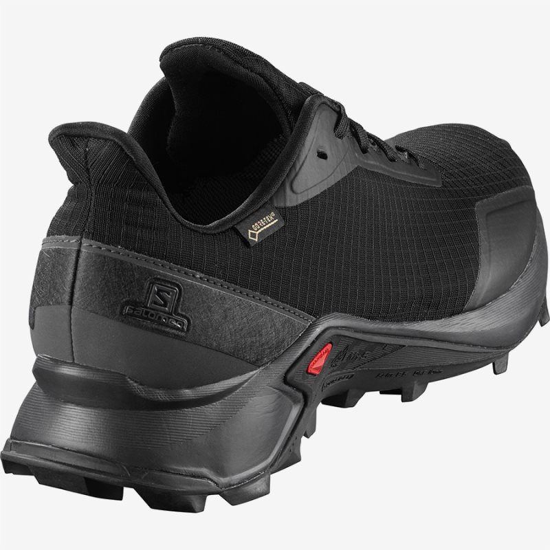 Chaussure Trail Salomon ALPHACROSS GTX Noir Homme | VUM-4220261