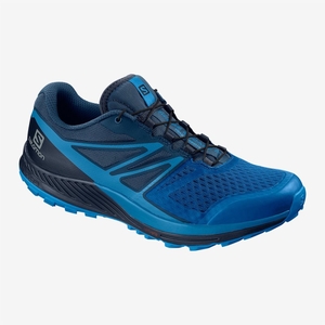 Chaussure Trail Salomon SENSE ESCAPE 2 Bleu Homme | XHZ-2968722