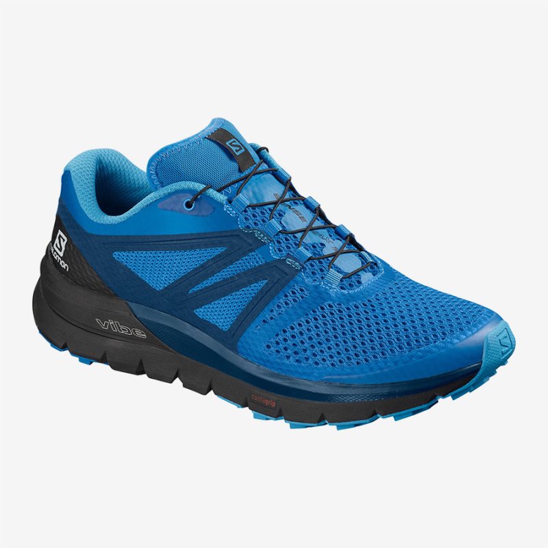 Chaussure Trail Salomon SENSE MAX 2 Bleu Homme | WJH-1758418