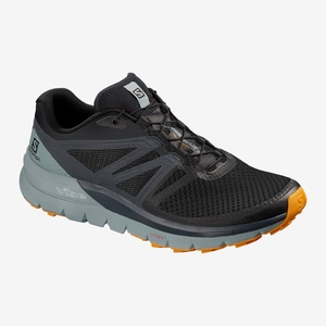 Chaussure Trail Salomon SENSE MAX 2 Noir Homme | DFT-4141521