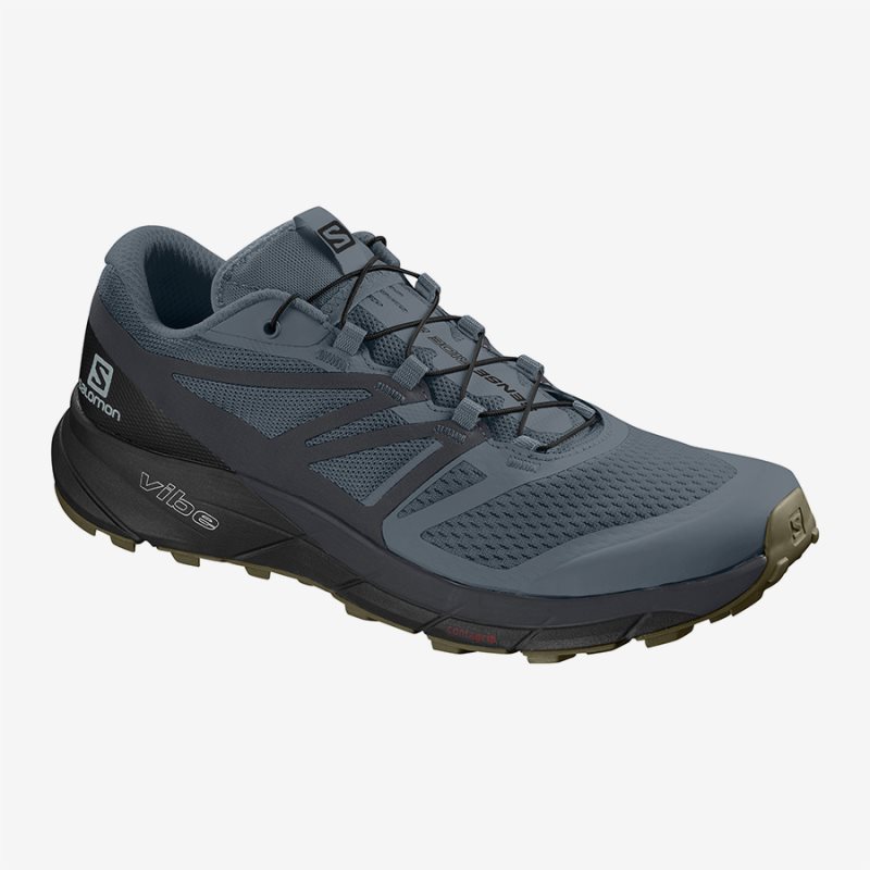 Chaussure Trail Salomon SENSE RIDE 2 Bleu Homme | ZHZ-1267664