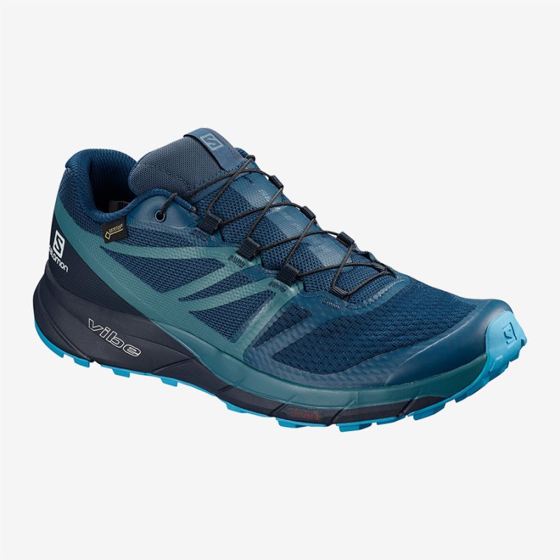 Chaussure Trail Salomon SENSE RIDE 2 GTX INVISIBLE FIT Bleu Homme | WUL-0387239