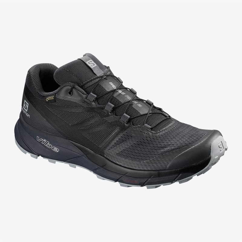 Chaussure Trail Salomon SENSE RIDE 2 GTX INVISIBLE FIT Noir Homme | GNB-6810819