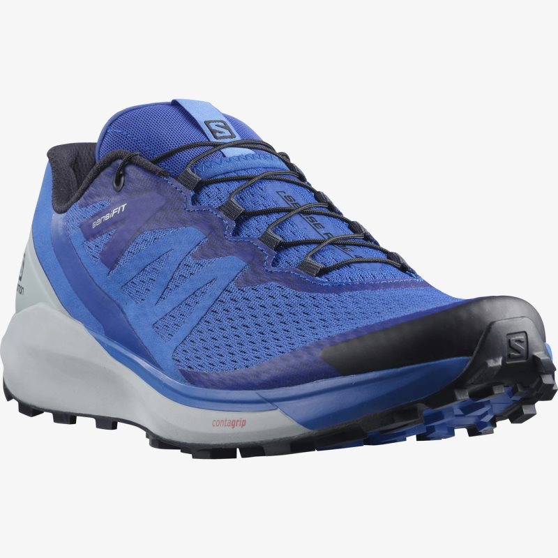 Chaussure Trail Salomon SENSE RIDE 4 Bleu Homme | CVB-0924836