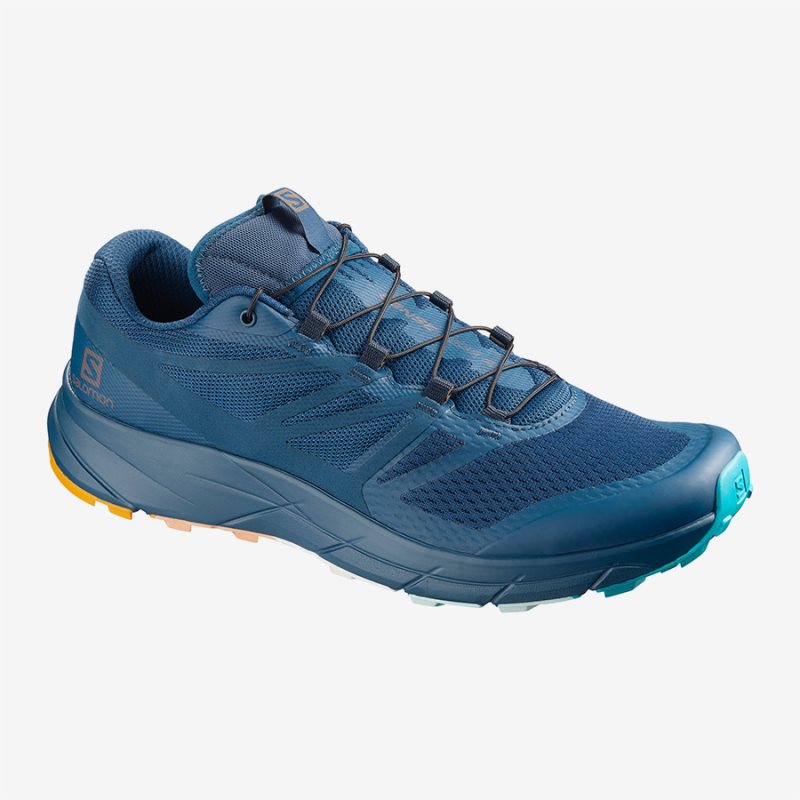 Chaussure Trail Salomon SENSE RIDE 2 MMB LIMITED Bleu Homme | JDK-0831021