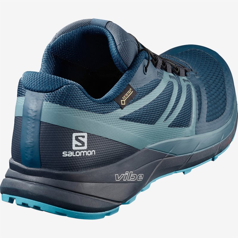 Chaussure Trail Salomon SENSE RIDE 2 GTX INVISIBLE FIT Bleu Homme | WUL-0387239