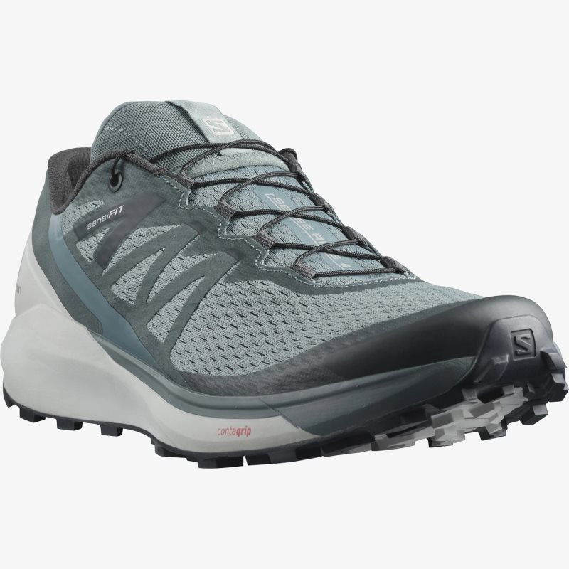 Chaussure Trail Salomon SENSE RIDE 4 Vert Homme | JKZ-7728845