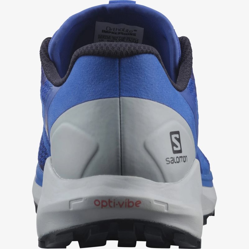 Chaussure Trail Salomon SENSE RIDE 4 Bleu Homme | CVB-0924836