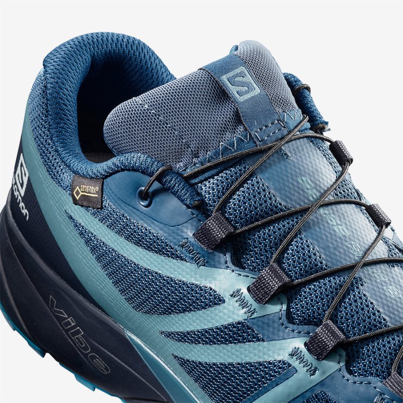 Chaussure Trail Salomon SENSE RIDE 2 GTX INVISIBLE FIT Bleu Homme | WUL-0387239