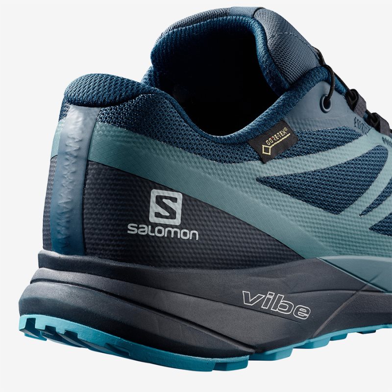 Chaussure Trail Salomon SENSE RIDE 2 GTX INVISIBLE FIT Bleu Homme | WUL-0387239