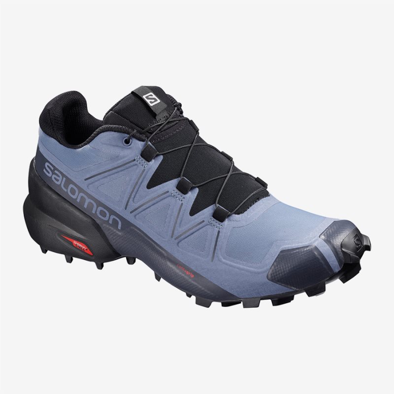 Chaussure Trail Salomon SPEEDCROSS 5 Lavande Homme | SXU-7191993