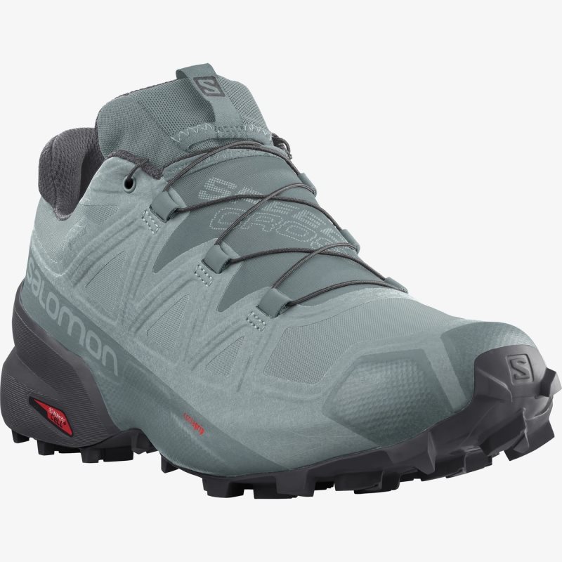 Chaussure Trail Salomon SPEEDCROSS 5 GORE-TEX Turquoise Homme | SBW-4641787