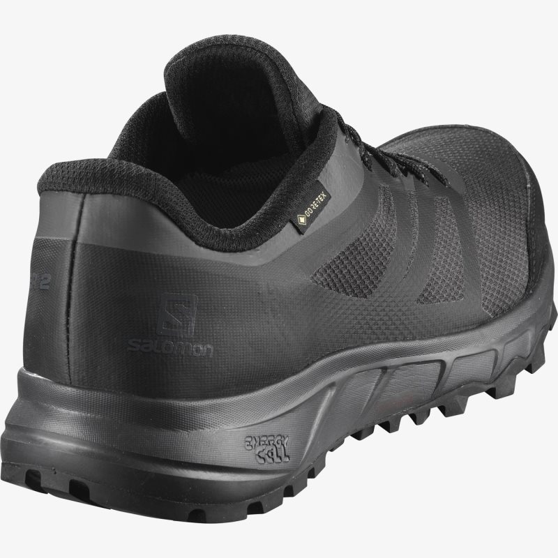 Chaussure Trail Salomon TRAILSTER 2 GORE-TEX Noir Homme | ZLY-8934634