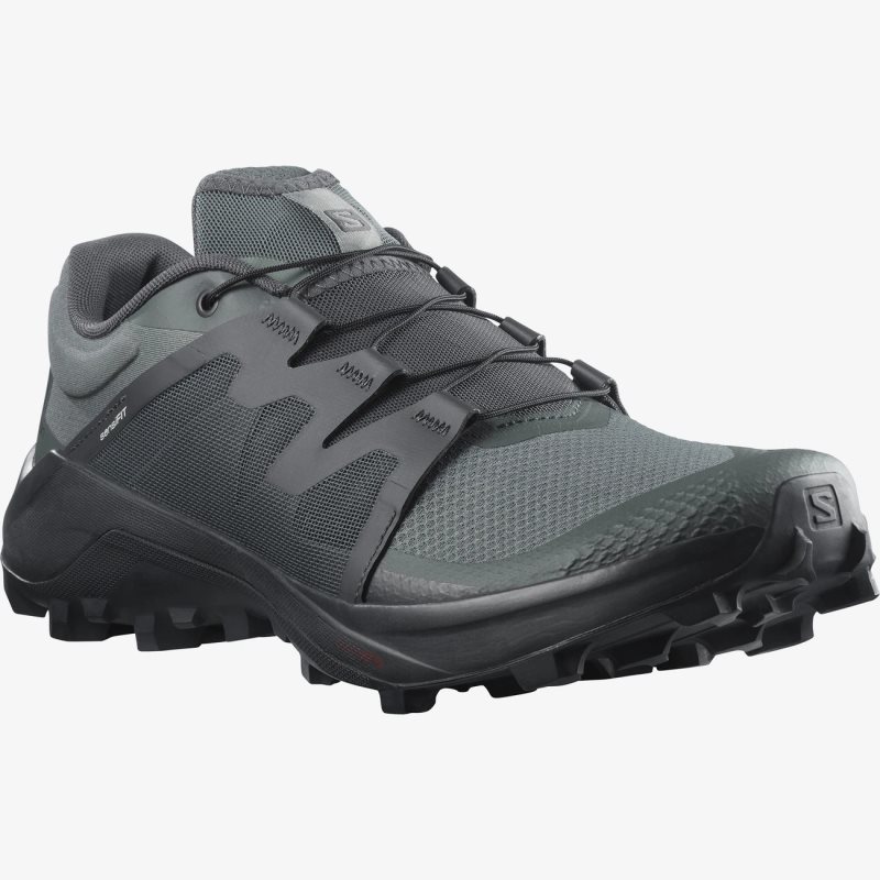 Chaussure Trail Salomon WILDCROSS Vert Homme | SZP-4662635