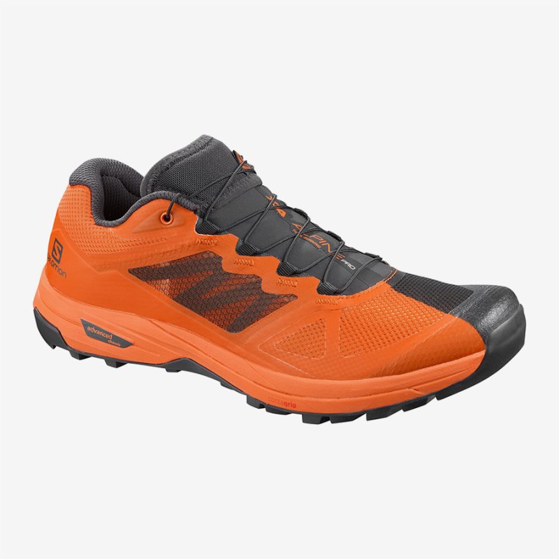 Chaussure Trail Salomon X ALPINE PRO Orange Homme | UYZ-9396144