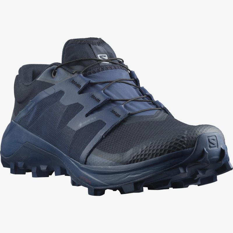 Chaussure Trail Salomon WILDCROSS GTX Bleu Marine Homme | QTV-6462024