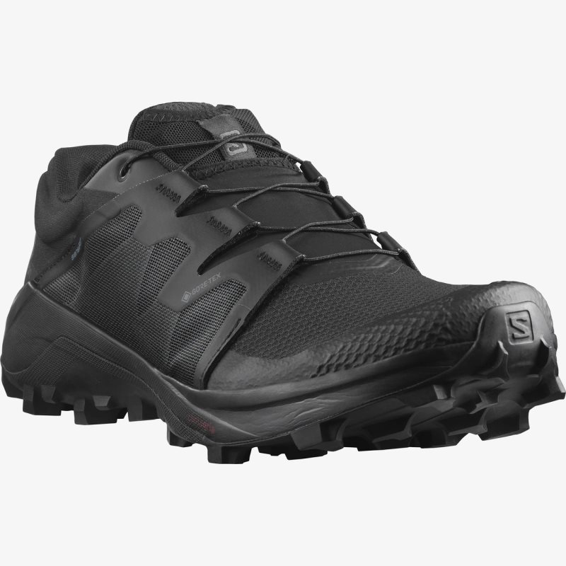 Chaussure Trail Salomon WILDCROSS GTX Noir Homme | IIX-9791144