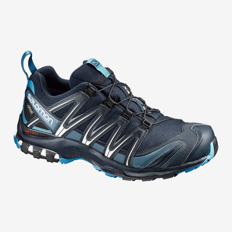 Chaussure Trail Salomon XA PRO 3D GTX Bleu Marine Homme | BXQ-9652470