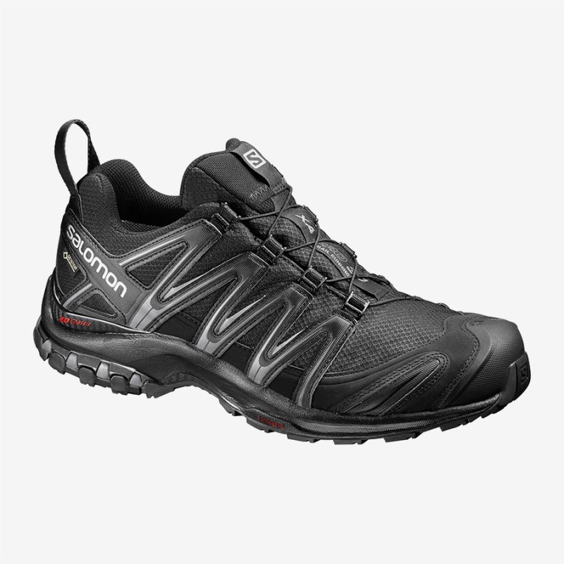 Chaussure Trail Salomon XA PRO 3D GTX Noir Homme | EXH-8107344