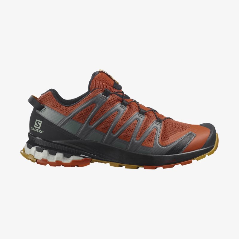 Chaussure Trail Salomon XA PRO 3D v8 Orange Homme | ABS-5648556