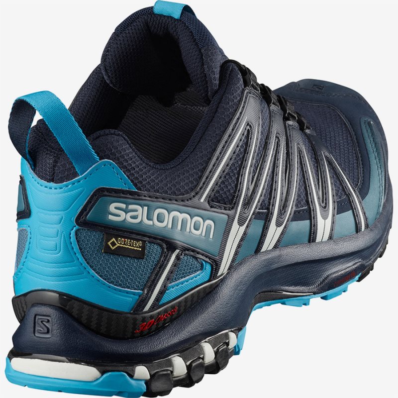 Chaussure Trail Salomon XA PRO 3D GTX Bleu Marine Homme | BXQ-9652470