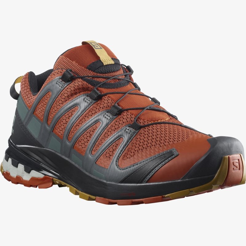 Chaussure Trail Salomon XA PRO 3D v8 Orange Homme | ABS-5648556