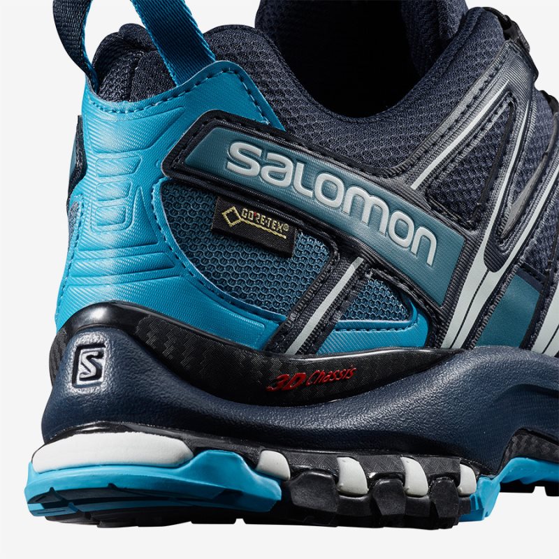 Chaussure Trail Salomon XA PRO 3D GTX Bleu Marine Homme | BXQ-9652470