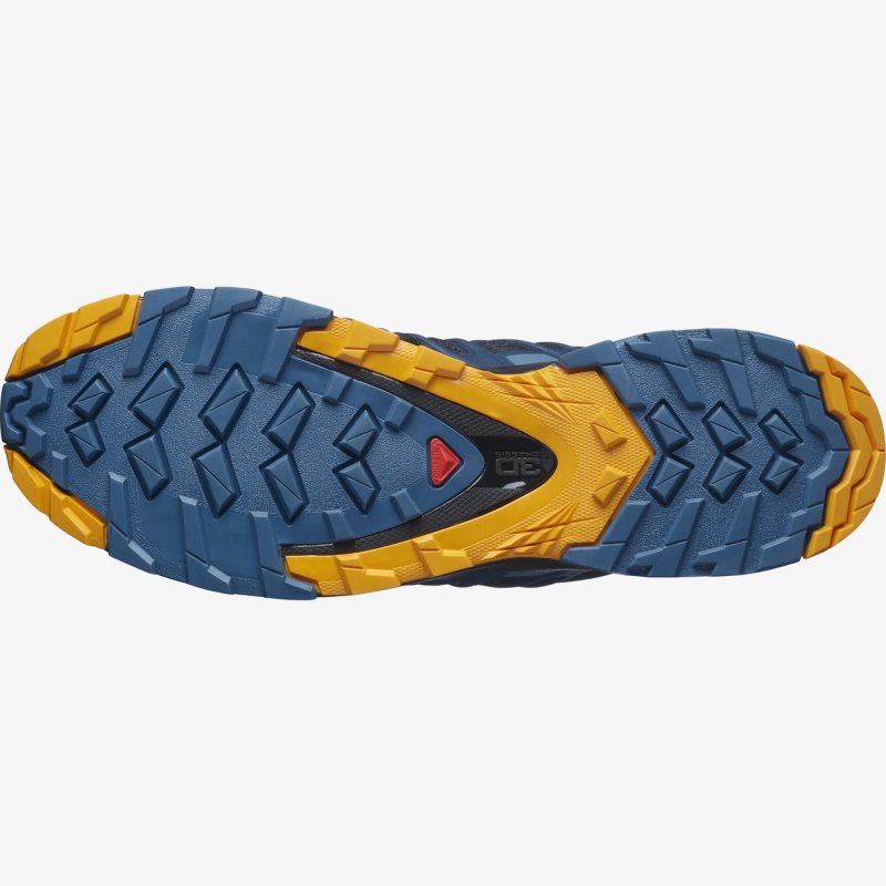 Chaussure Trail Salomon XA PRO 3D v8 Bleu Marine Homme | QKW-9384573