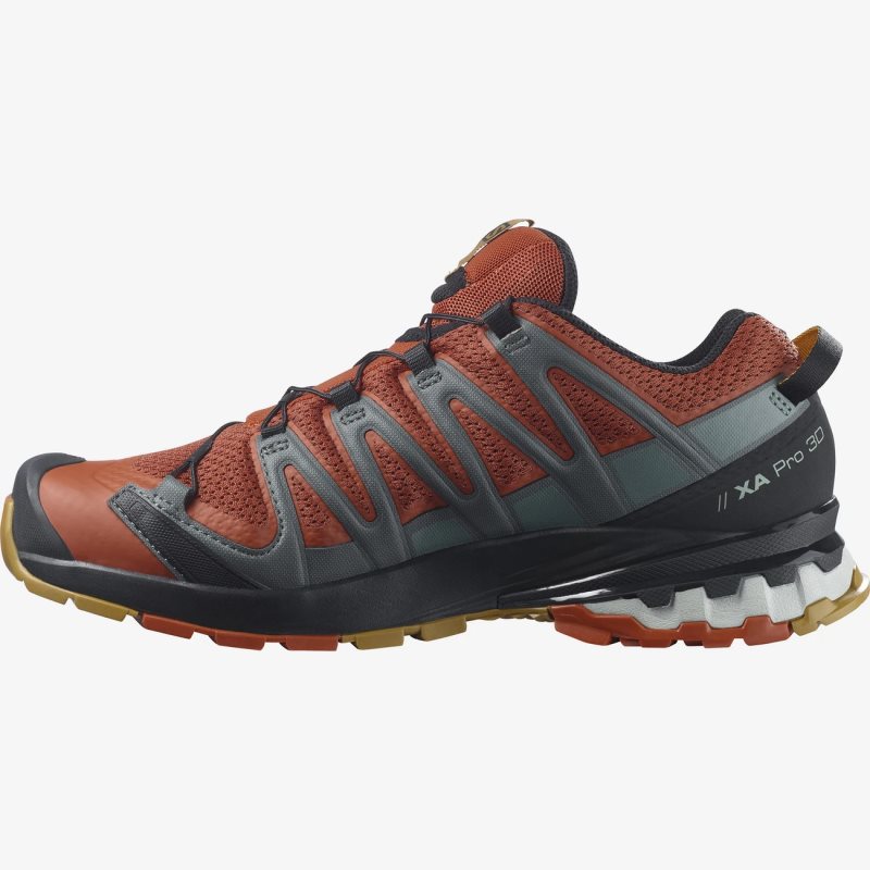 Chaussure Trail Salomon XA PRO 3D v8 Orange Homme | ABS-5648556