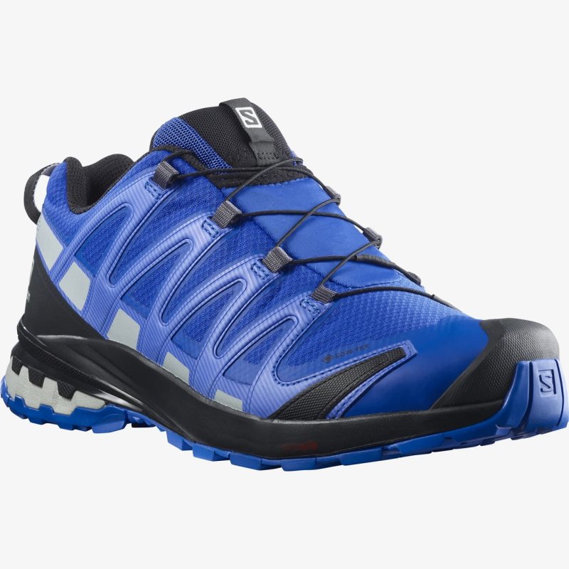 Chaussure Trail Salomon XA PRO 3D v8 GORE-TEX Bleu Homme | UIN-2311533