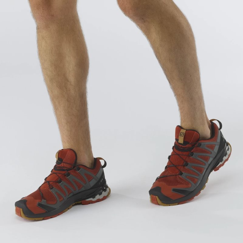 Chaussure Trail Salomon XA PRO 3D v8 Orange Homme | ABS-5648556