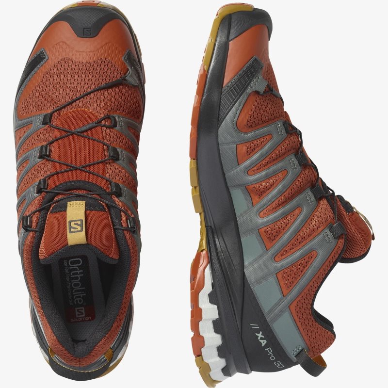 Chaussure Trail Salomon XA PRO 3D v8 Orange Homme | ABS-5648556