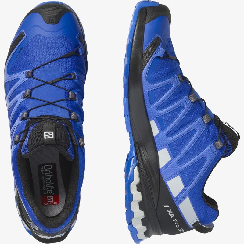 Chaussure Trail Salomon XA PRO 3D v8 GORE-TEX Bleu Homme | UIN-2311533