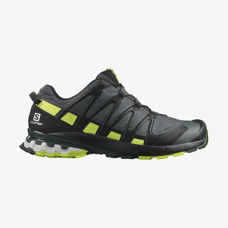 Chaussure Trail Salomon XA PRO 3D v8 GORE-TEX Noir Homme | GNE-1347609