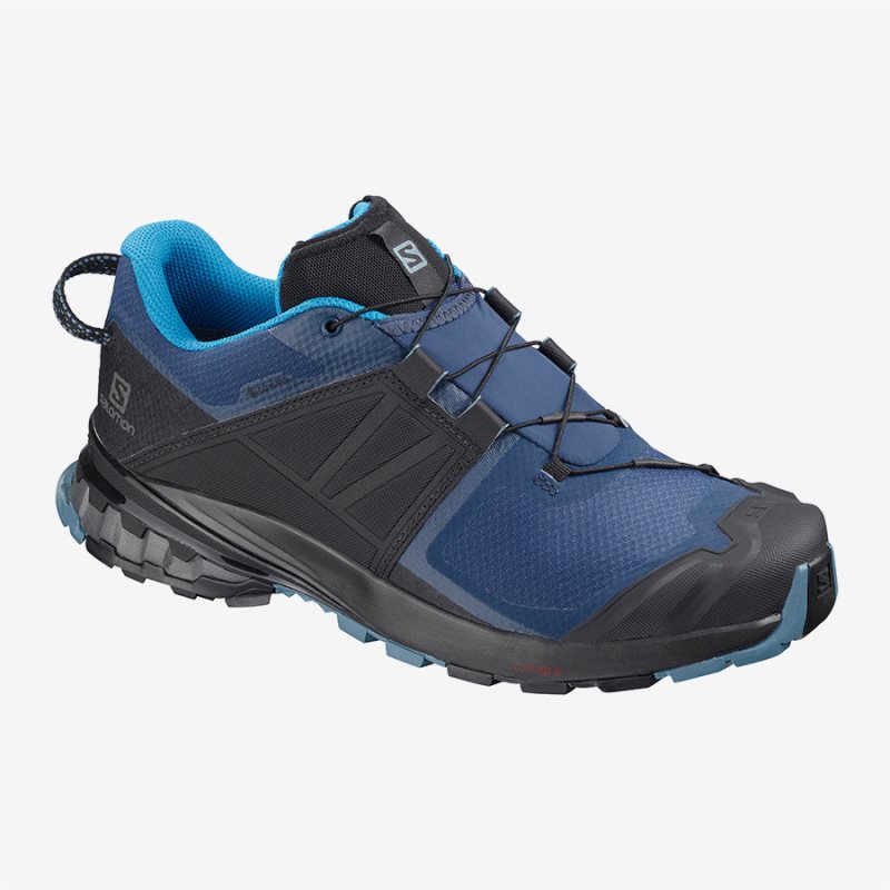 Chaussure Trail Salomon XA WILD GTX Bleu Homme | CFF-9195281