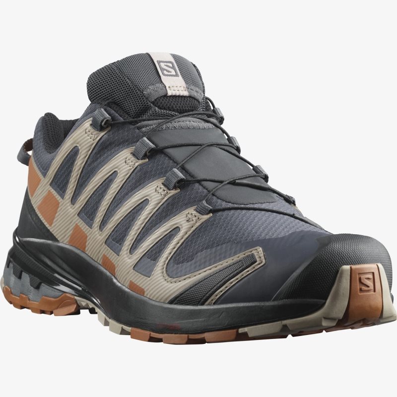 Chaussure Trail Salomon XA PRO 3D v8 GORE-TEX Bleu Marine Homme | CGF-5927534