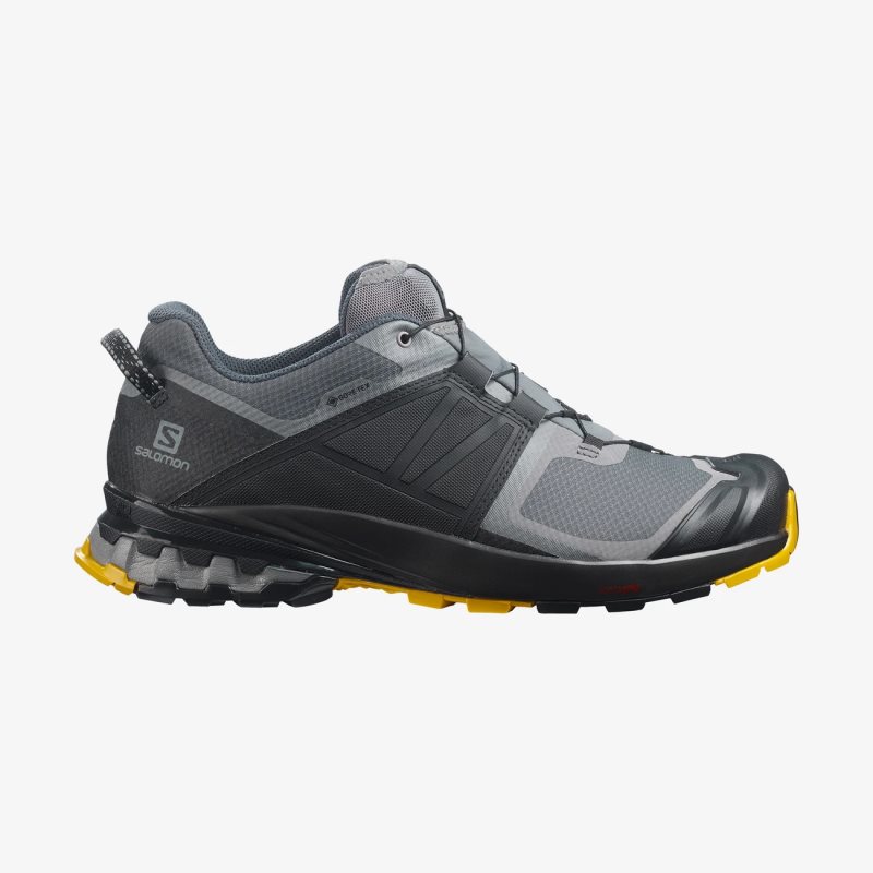 Chaussure Trail Salomon XA WILD GORE-TEX Noir/Grise Homme | RIL-5152048