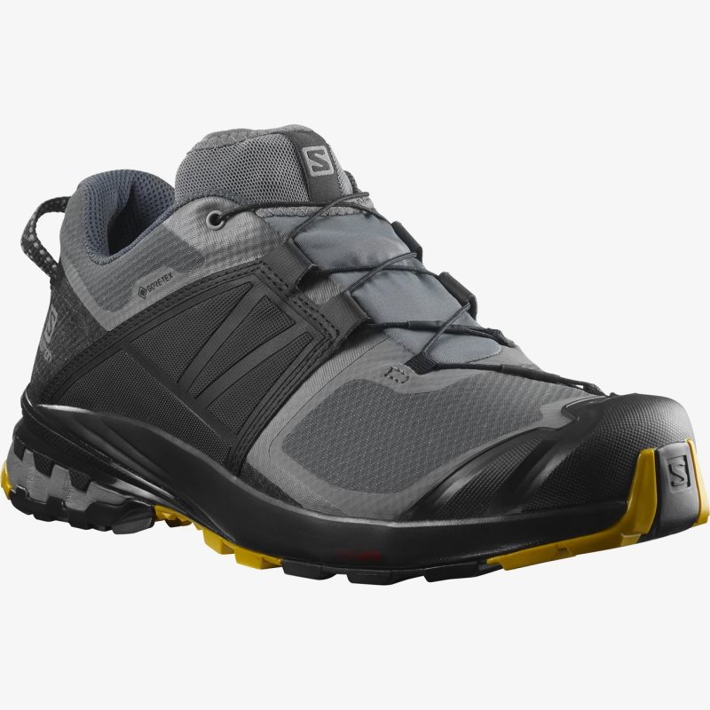 Chaussure Trail Salomon XA WILD GORE-TEX Noir/Grise Homme | RIL-5152048